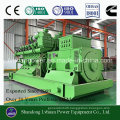 High Efficiency Cummins 300kw Biogas Generator Set Adopt Biomass Marsh Gas, CNG